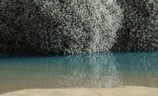 What is the Kapha Dosha? - COSMIC DEALER