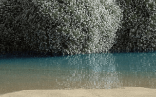 What is the Kapha Dosha? - COSMIC DEALER