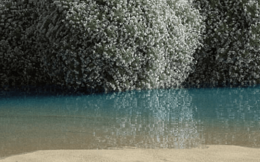 What is the Kapha Dosha? - COSMIC DEALER